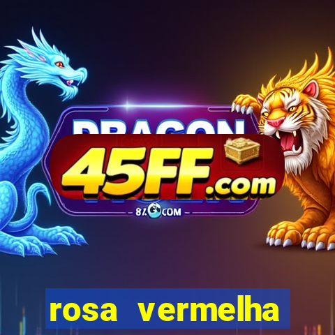 rosa vermelha (letra e cifra)